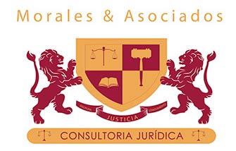 consultoria